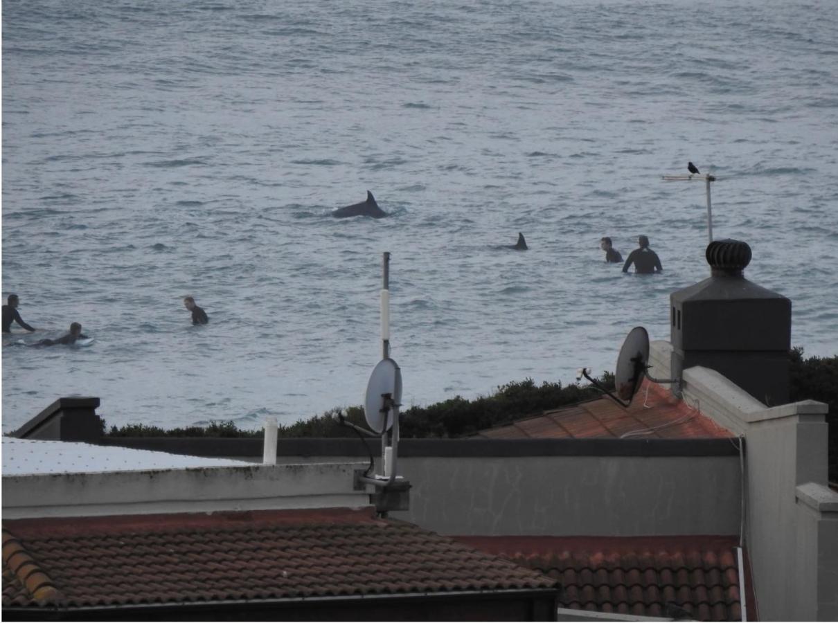 Surfstar At Mimosa Jeffreys Bay Apartment Ngoại thất bức ảnh