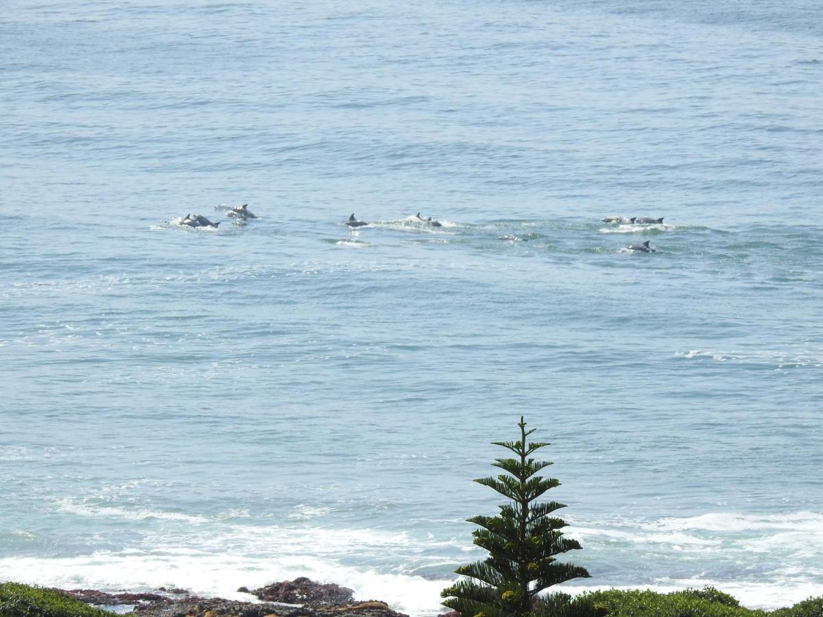 Surfstar At Mimosa Jeffreys Bay Apartment Ngoại thất bức ảnh